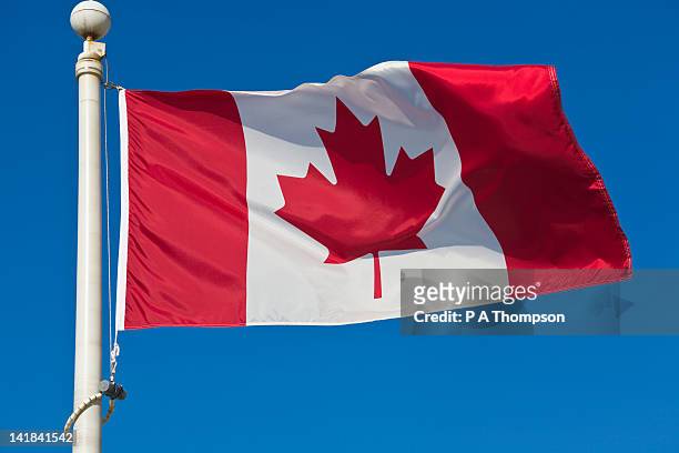 canadian flag - canada stockfoto's en -beelden