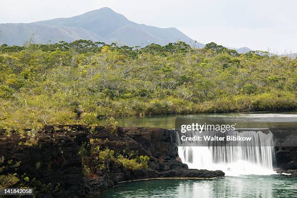 new caledonia-grande terre island-southern grande terre: chutes de la madeleine waterfall - grande terre nueva caledonia fotografías e imágenes de stock