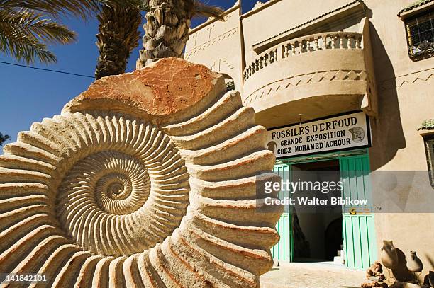 morocco, ziz valley, erfoud, fossil shop - arabian resto foto e immagini stock