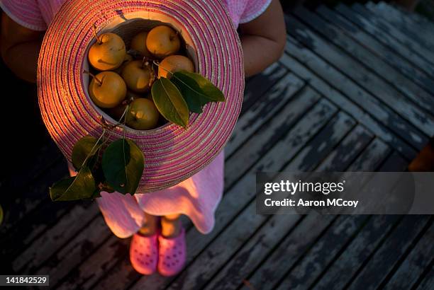 woman in pink holds hat full of asian pears on deck, vashon island, washington - aziatische peer stockfoto's en -beelden