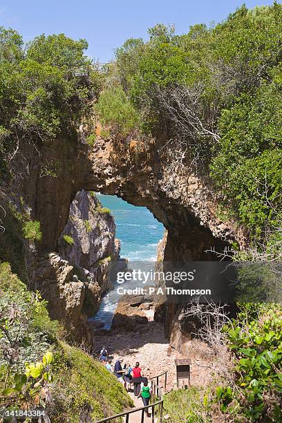 people on nature walk, knysna lagoon, western cape, south africa - garden route stock-fotos und bilder