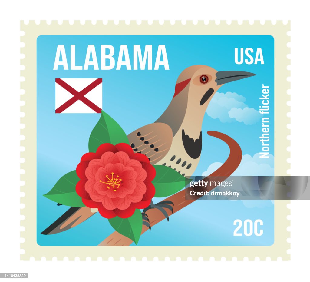 Northern flicker Stamp, Colaptes Auratus