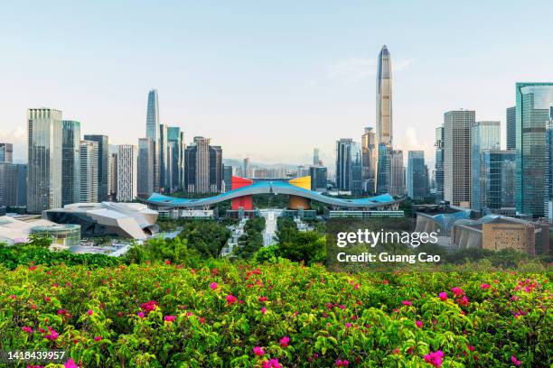 a modern city skyline - shenzhen stock pictures, royalty-free photos & images