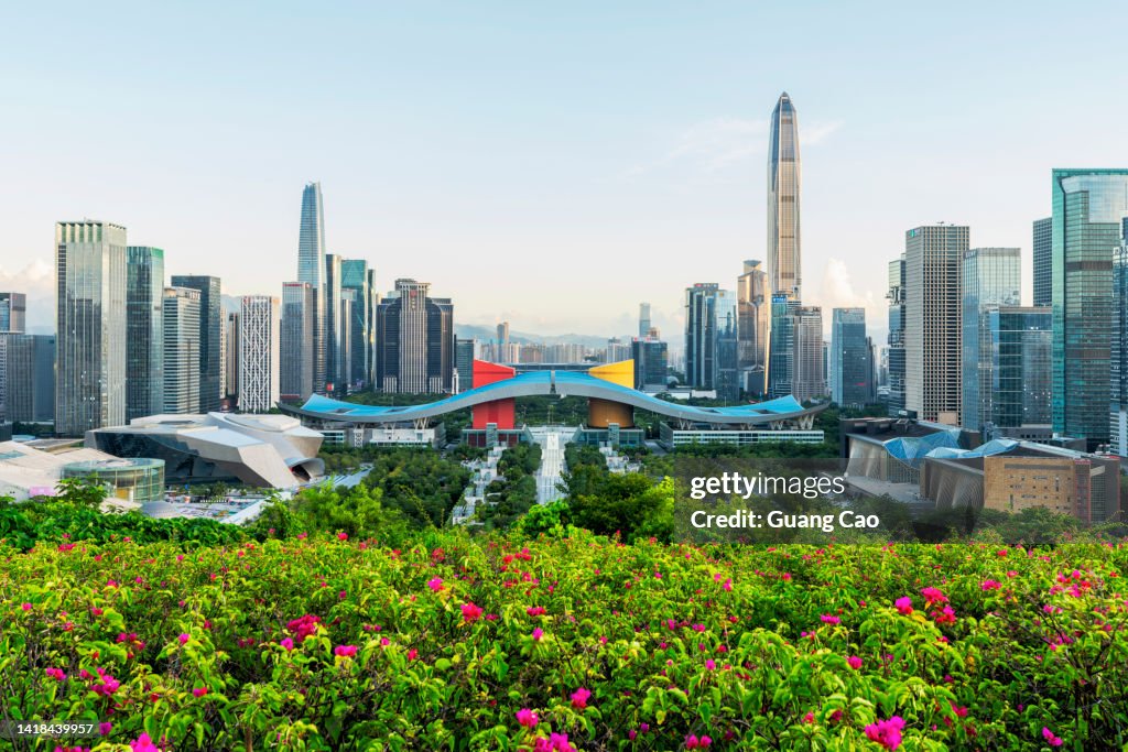 A Modern City Skyline