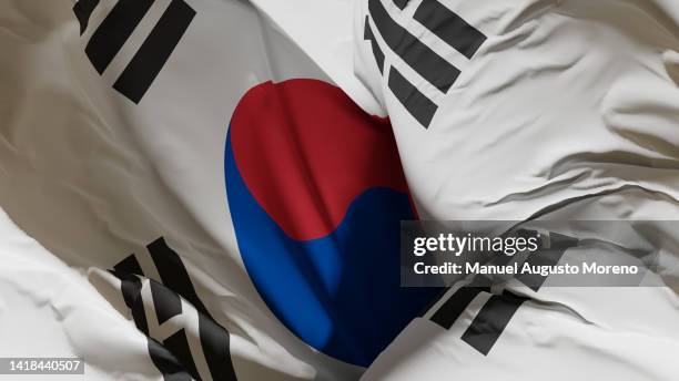 flag of south korea (republic of korea) - 韓国文化 個照片及圖片檔