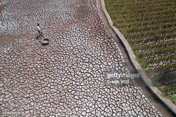 Farmer inspects a field cracked due to drought on August 26, 2022 in Neijiang, Sichuan Province of China.