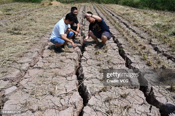 Farmers inspect a field cracked due to drought on August 26, 2022 in Neijiang, Sichuan Province of China.