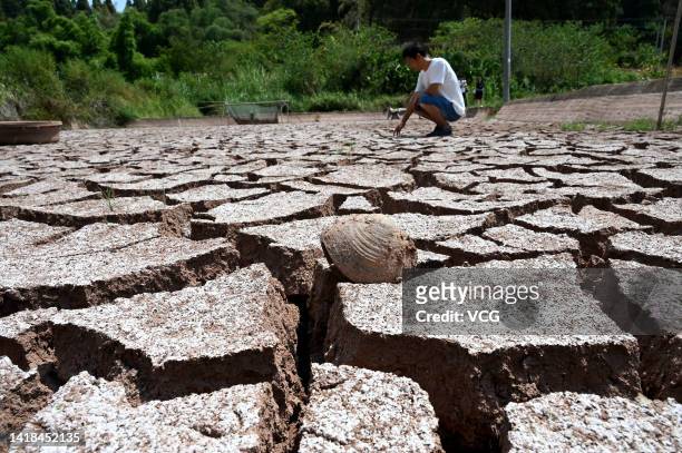 Farmer inspects a field cracked due to drought on August 26, 2022 in Neijiang, Sichuan Province of China.