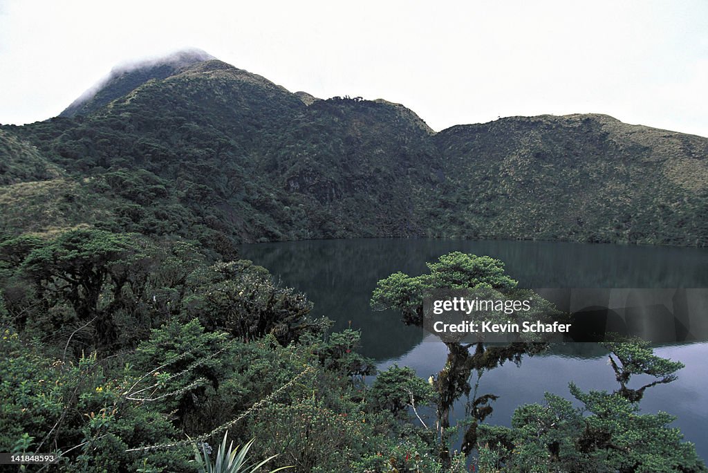 LAKE IN CLOUD FOREST, SANGAY NATIONAL PARK, ANDES MOUNTAINS, ECUADOR, 3450m (142950) H