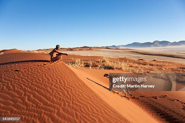 indigenous bushman/san hunter (43 years old) hunting with cheetah (acinonyx jubatus), namibia (image taken to raise awareness and funds for the conservation projects of n/a' - bushmen ストックフォトと画像