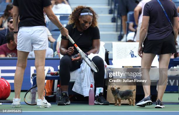 Serena Williams of United States in a practice session with her dog Christopher Chip Rafael Nadal during previews for the 2022 US Open tennis at USTA...