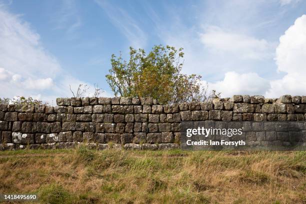 Hadrian's Wall near Cawfields quarry on August 27, 2022 in Hexham, United Kingdom. 2022 is the 1900 anniversary of the building of the first phase of...