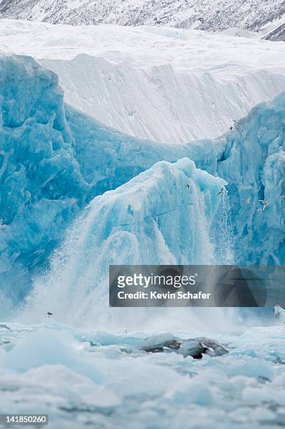 shooter', iceberg rises from underwater face of monaco glacier, leifdefjorden, svalbard, arctic norway - spitsbergen stockfoto's en -beelden