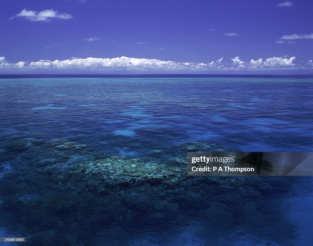 Coral reefs,Great Barrier Reef,off Port Douglas,QLD