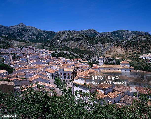 overview of white village of grazalema, spain - grazalema photos et images de collection