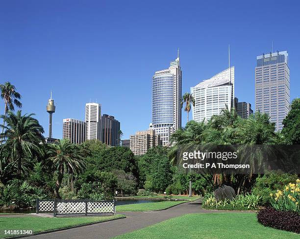 botanical gardens & city skyline, sydney, new south wales, australia - centrepoint tower stockfoto's en -beelden