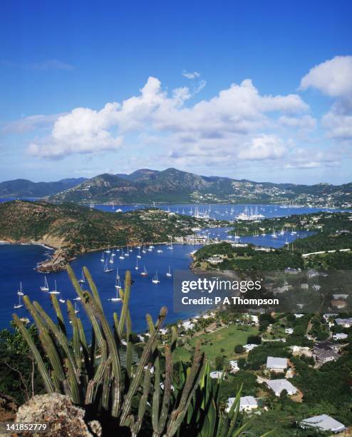 english harbour, antigua, caribbean - island of antigua stock pictures, royalty-free photos & images
