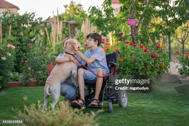 une mère et son fils handicapé en fauteuil roulant jouent avec leur chien dans la cour arrière - boy dog photos et images de collection