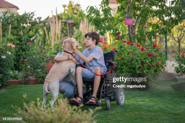 mother and her handicapped son in wheelchair playing with their dog at back yard - woman home with sick children stock pictures, royalty-free photos & images