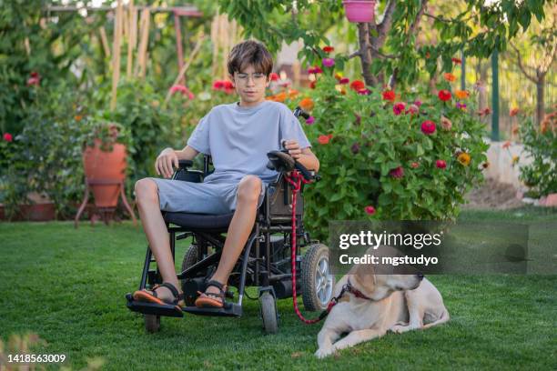 teenage boy in wheelchair and his pet in the garden of his house. - motorized wheelchair stock pictures, royalty-free photos & images