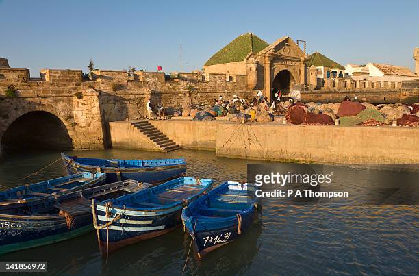 fishing harbour at essaouira, morocco - essaouira photos et images de collection