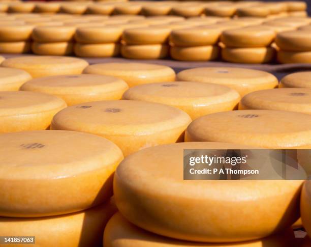 gouda cheese, alkmaar, netherlands - queso gouda fotografías e imágenes de stock