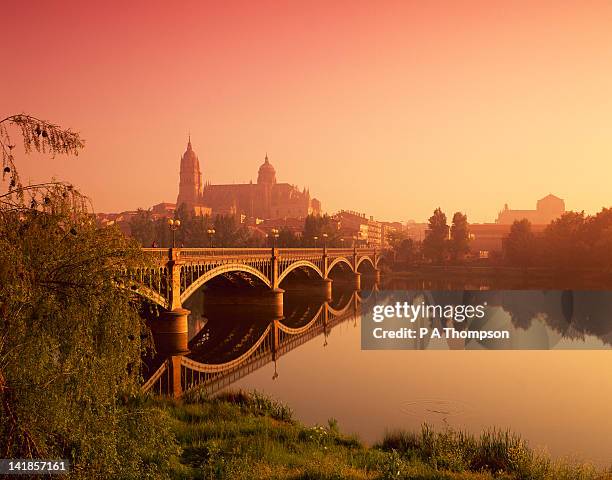 cathedral and river tormes, salamanca, castile leon, spain - salamanca stock pictures, royalty-free photos & images