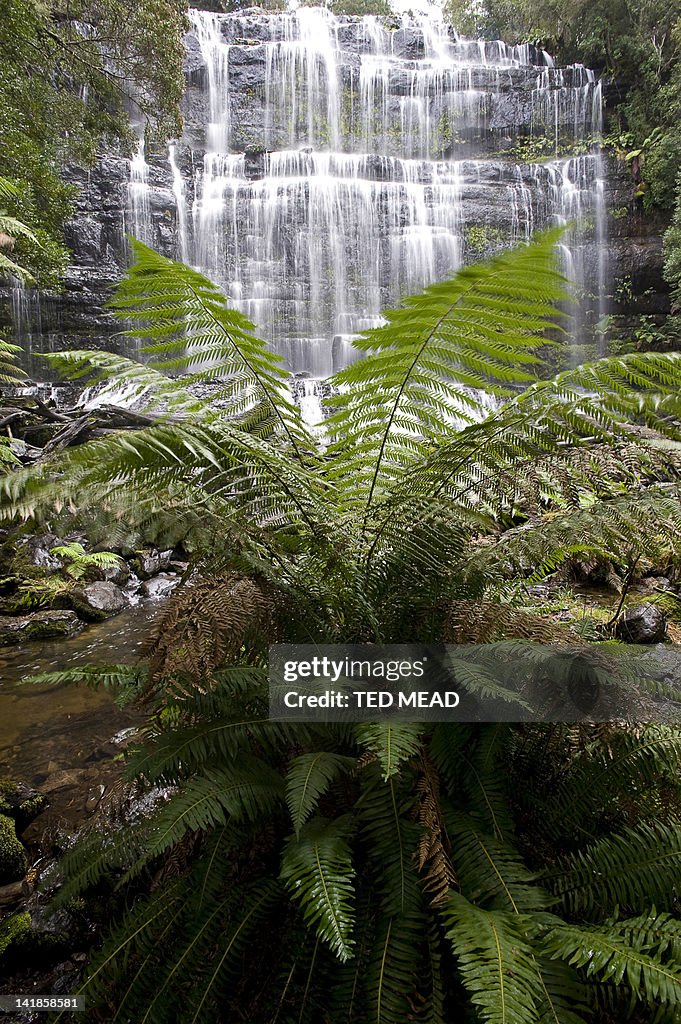 A cascade in the Mt Field National Park, Tasmania, Australia.