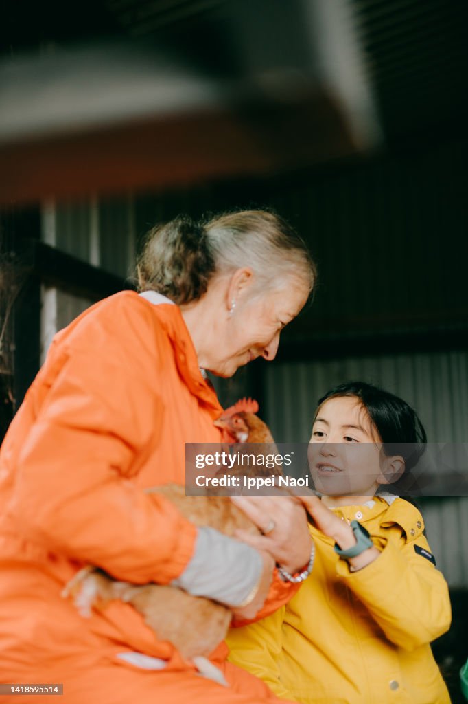 Grandmother and grandchild with hen in chicken coop