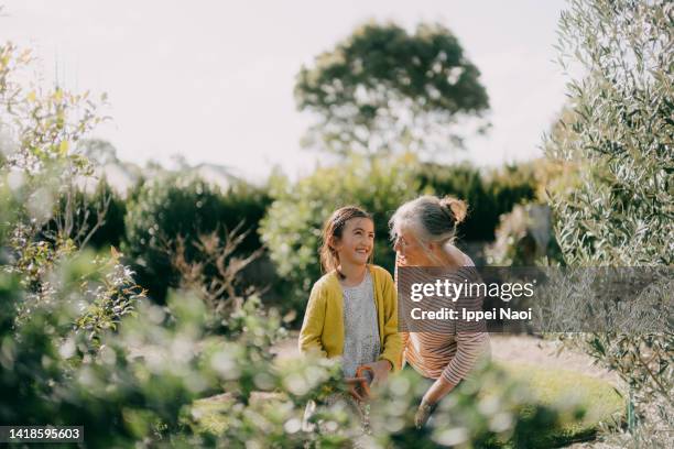 grandmother and granddaughter having a good time in garden - family gardening stock-fotos und bilder