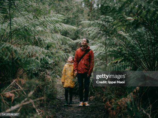 father and daughter in forest, melbourne, australia - hiking australia foto e immagini stock