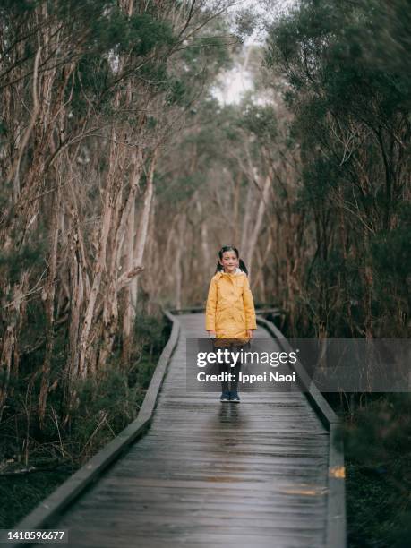 girl in wetland forest, balcombe estuary, victoria, australia - mornington peninsula stock-fotos und bilder