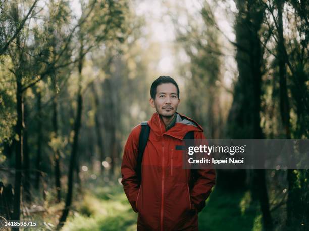 man in forest, victoria, australia - looking at camera australia imagens e fotografias de stock