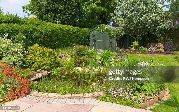 back garden with pond and garden shed, wirral, merseyside, england - teich garten stock-fotos und bilder