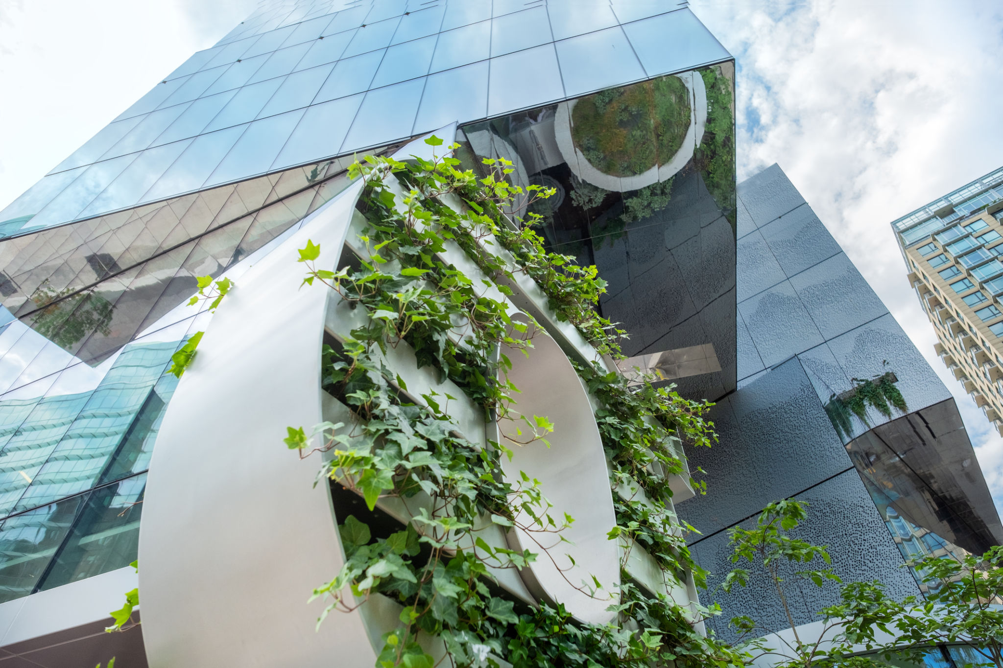 Pared viva de plantas bajo un moderno edificio de oficinas, vista hacia arriba Pared viva de plantas bajo un moderno edificio de oficinas, vista hacia arriba