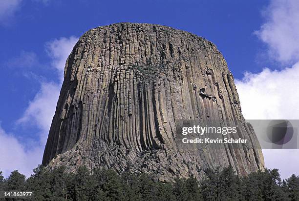 devils tower (columnar basalt). devils tower national monument, wyoming - igneous rock stock pictures, royalty-free photos & images