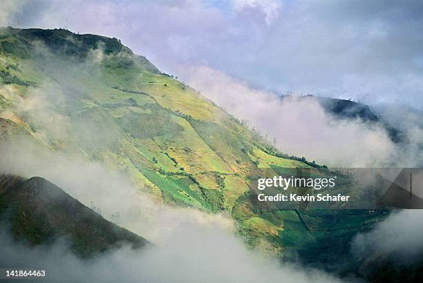 farms on steep misty slopes of andes mountains, tungurahua province, ecuador - ecuador farm stock pictures, royalty-free photos & images