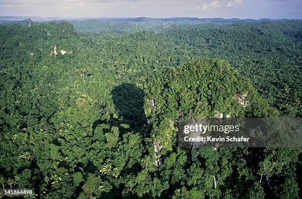 Belize Rocks 53 Geology Of Belize Stock Photos, High-Res Pictures, and Images ...