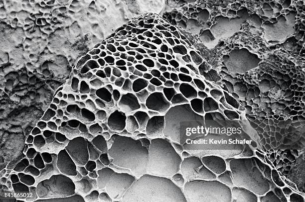 Salt Eroded Rocks 75 Geologies Stock Photos, High-Res Pictures, and Images - Getty Images
