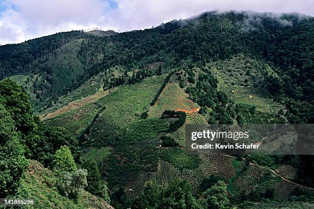 highland forest cleared for agriculture, talamanca mountains, costa rica - costa rica aerial stock pictures, royalty-free photos & images