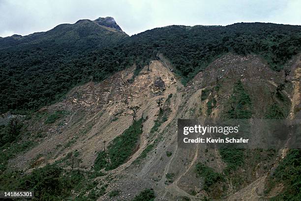 landslides along guamote/macas road; sangay national park (2600 m), andes, ecuador - aardverschuiving stockfoto's en -beelden