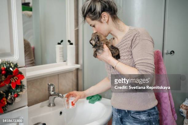 woman pouring shampoo to wash pomeranian spitz puppy - bad christmas stock-fotos und bilder