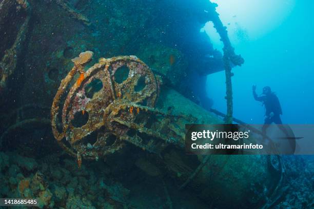 wrec diving   man  scuba diver underwater photographer  scuba diving  takes photost of red sea,  coral reef on shipwreck  underwater photo scuba diver point of view. - underwater camera stock pictures, royalty-free photos & images