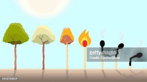 increasingly dry trees turning into inflammable matchsticks - climate change illustration stock pictures, royalty-free photos & images