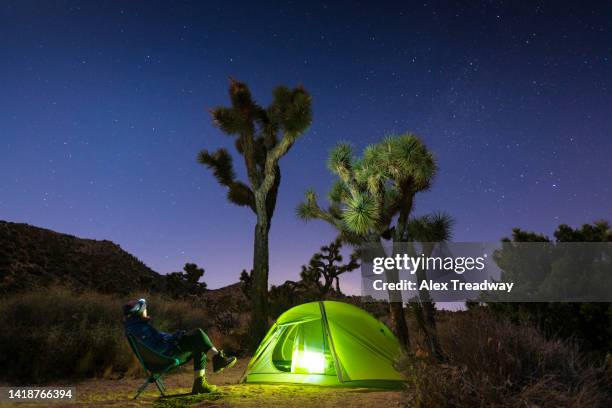 a girl stargazes beside her glowing tent in joshua tree national park - stargazes stock pictures, royalty-free photos & images