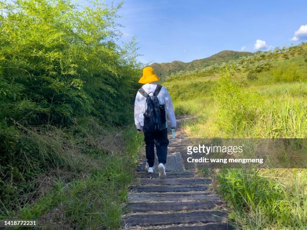 a young asian man hiking in the mountains with a backpack - 森林 stockfoto's en -beelden