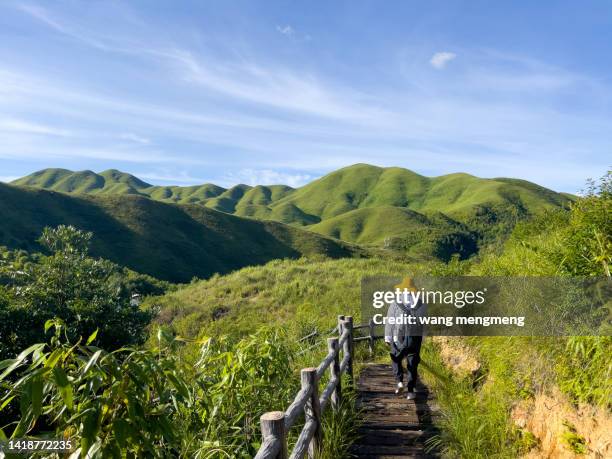 a young asian man hiking in the mountains with a backpack - 開朗 stock pictures, royalty-free photos & images