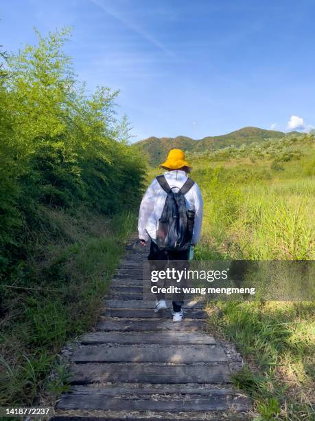 a young asian man hiking in the mountains with a backpack - 森林 - fotografias e filmes do acervo