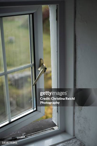 view from old window into garden - aspergillus stock pictures, royalty-free photos & images