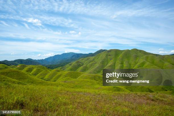 green meadow under blue sky - grass land stock pictures, royalty-free photos & images